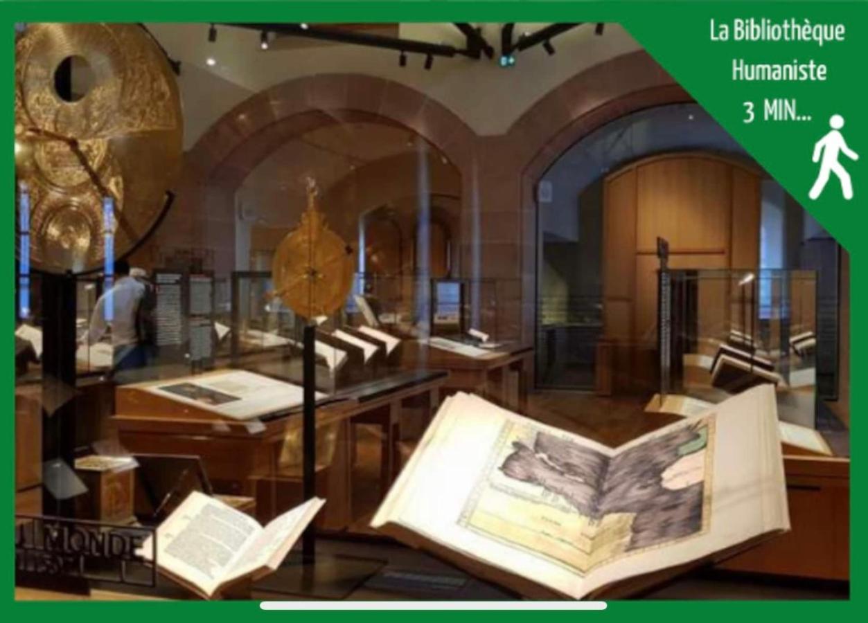 Апартаменты La Parenthese Alsacienne Au Coeur De Селеста Экстерьер фото